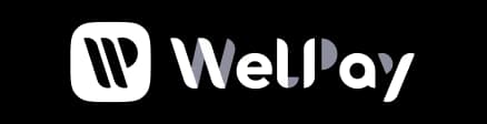 welpay.io