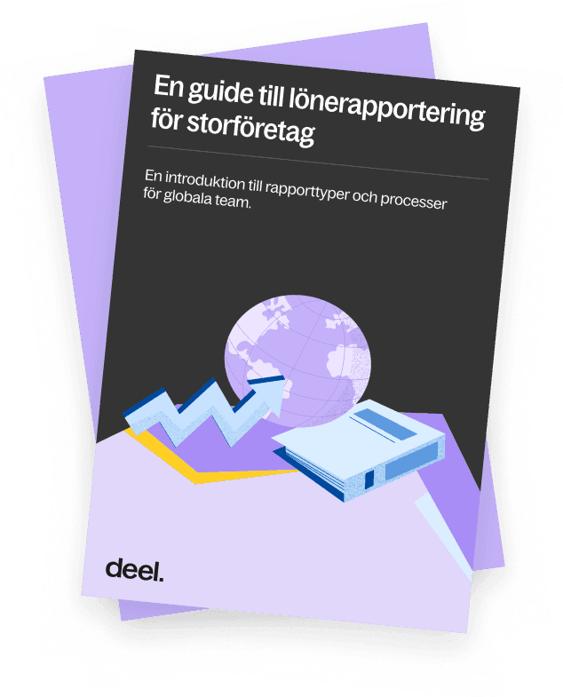 En guide till lönerapportering för storföretag
