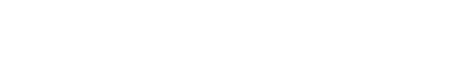 Fidel api