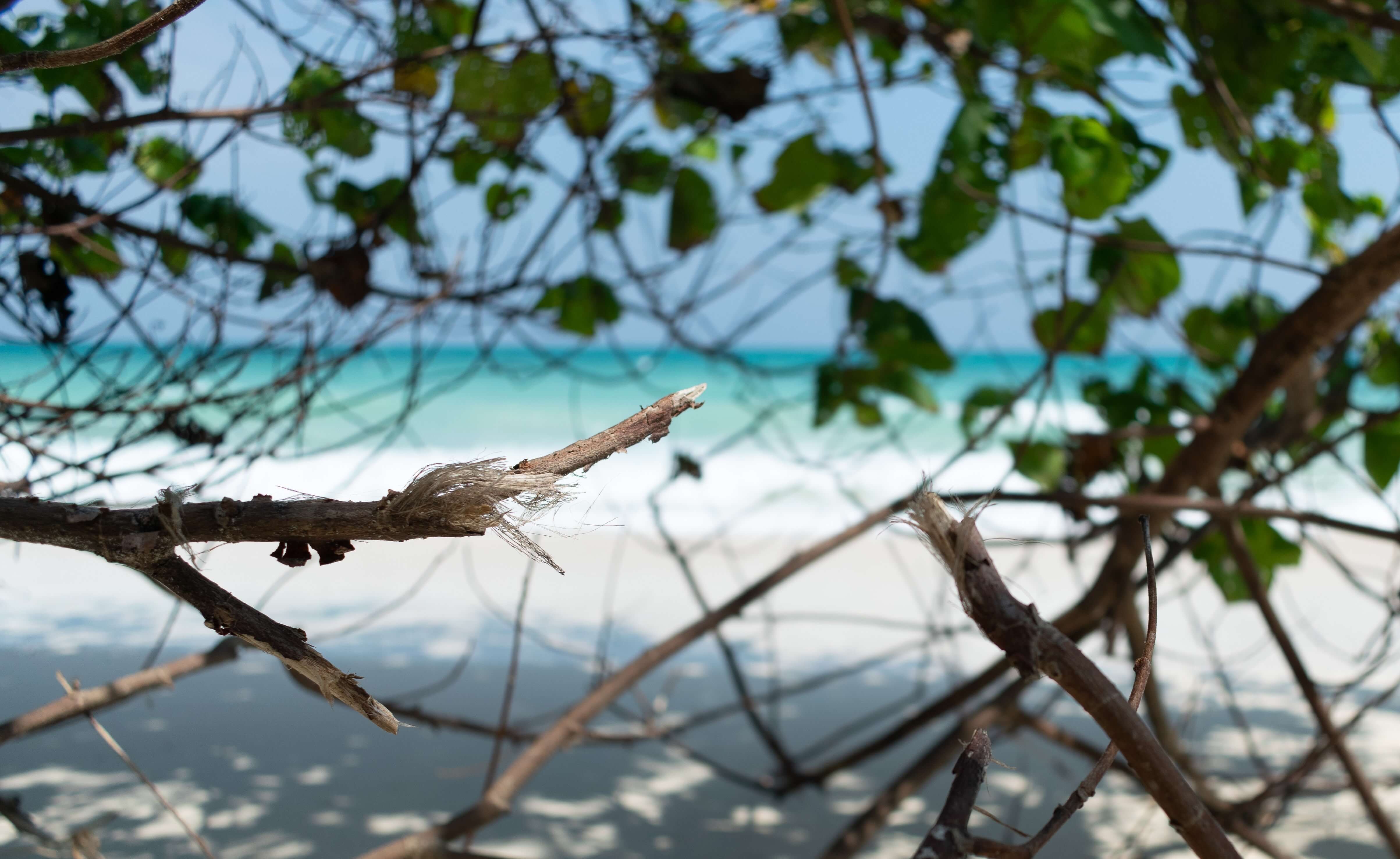 Islas caiman  visa de trabajo remoto