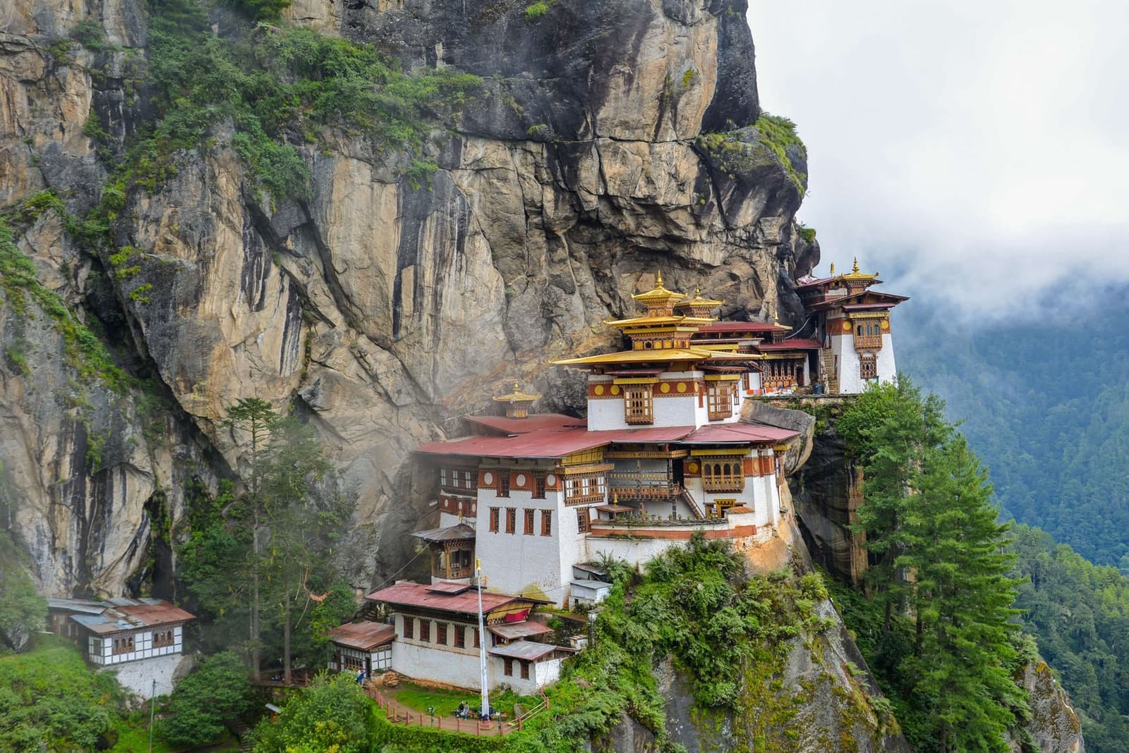 Contractor - Bhutan