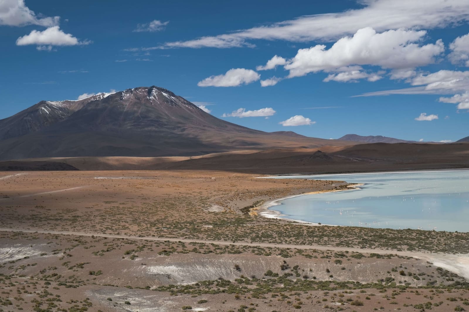 Contractor - Bolivia