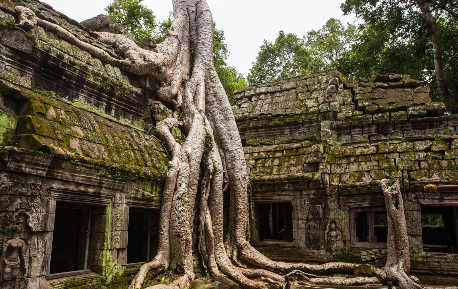 Contractor - Cambodia