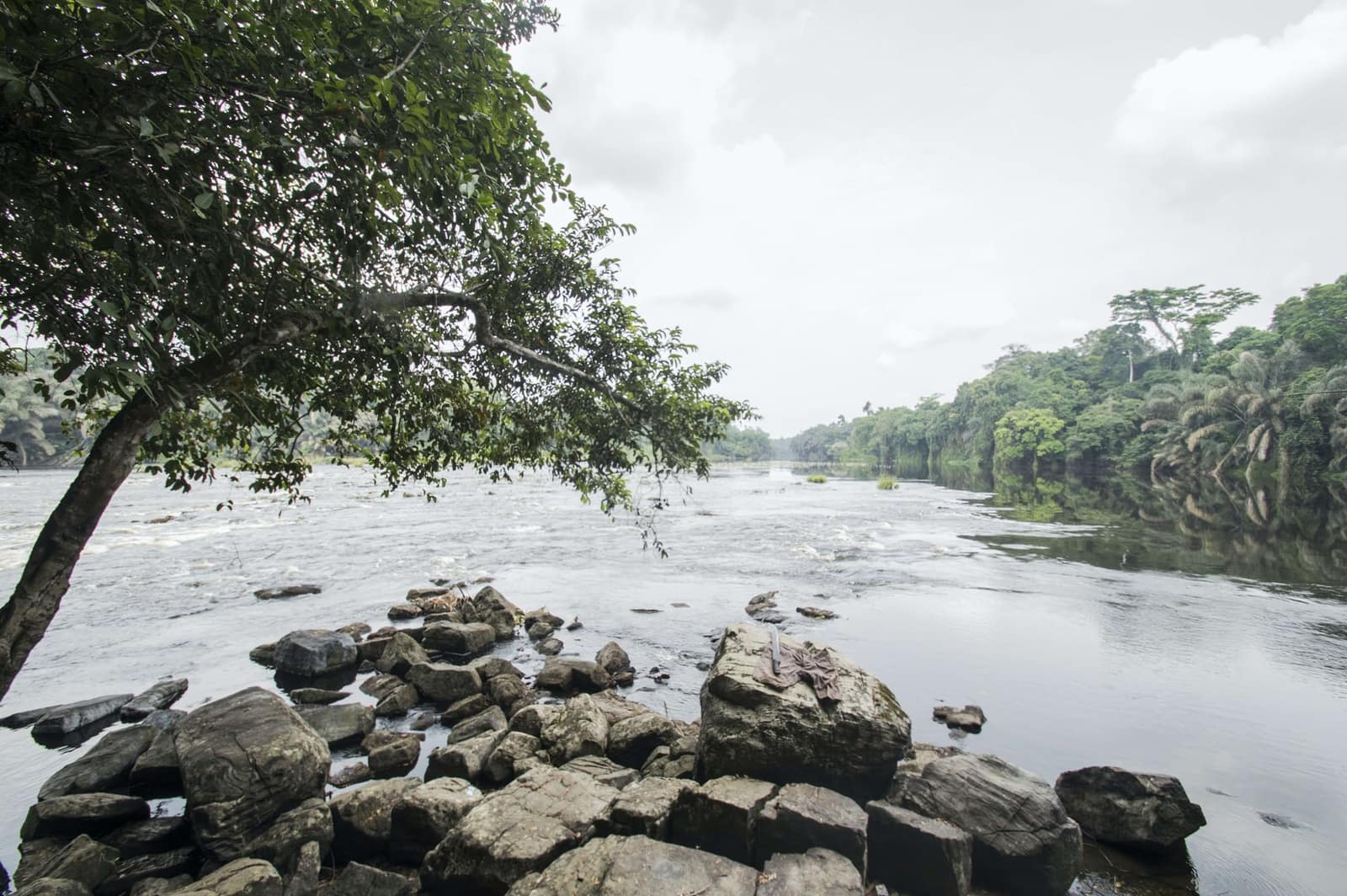 Contractor - Gabon