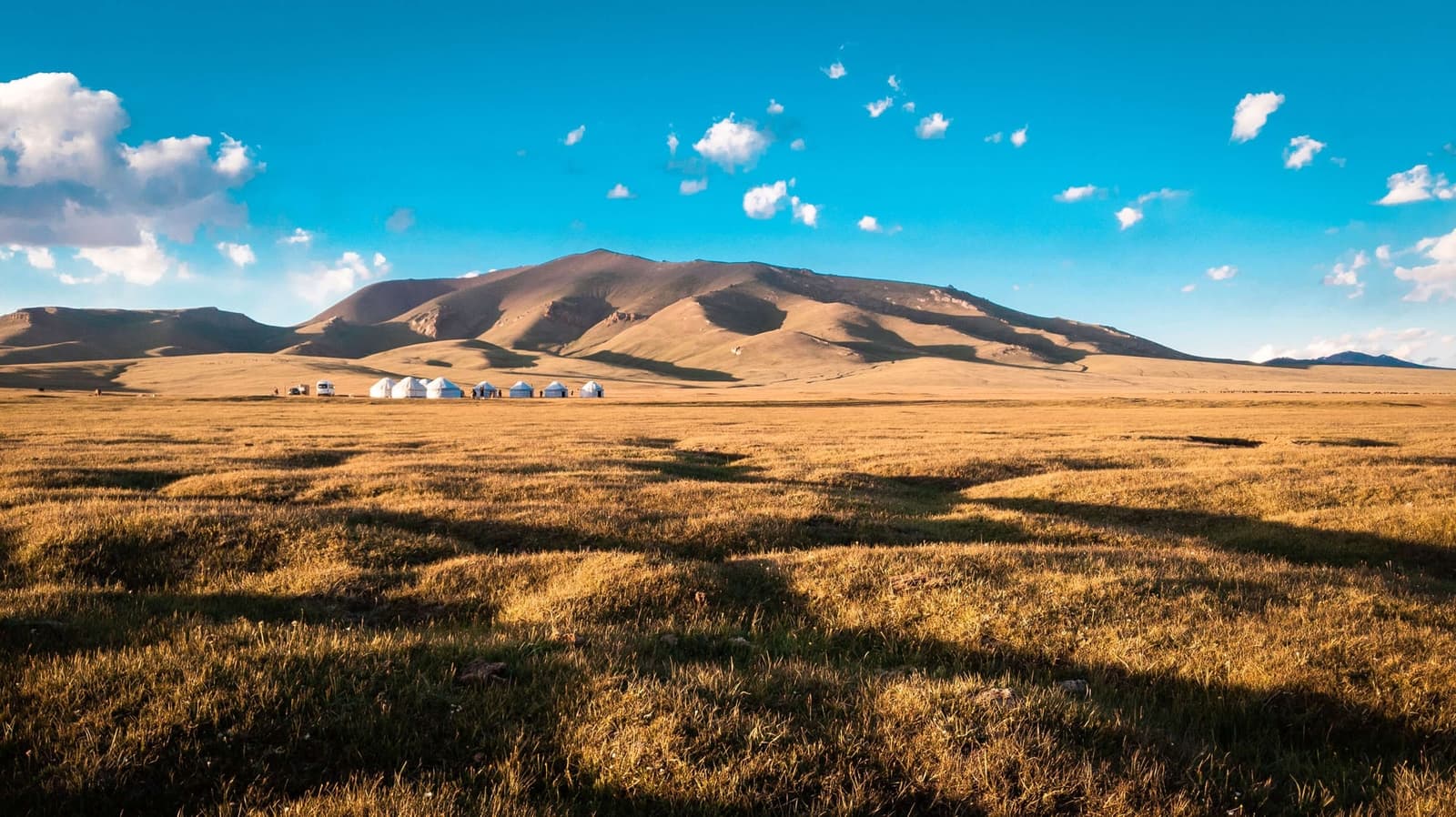 Contractor - Kyrgyzstan