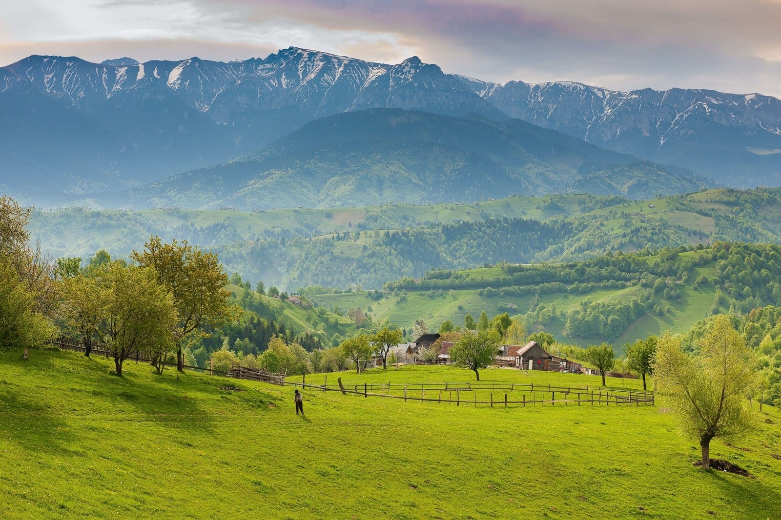 Contractor - Romania