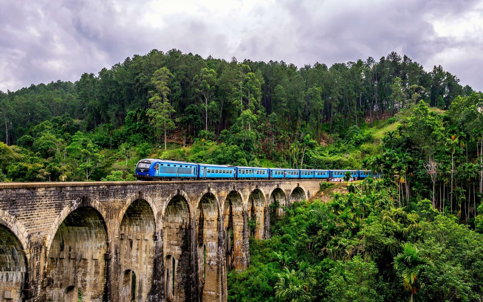 Contractor - Sri Lanka