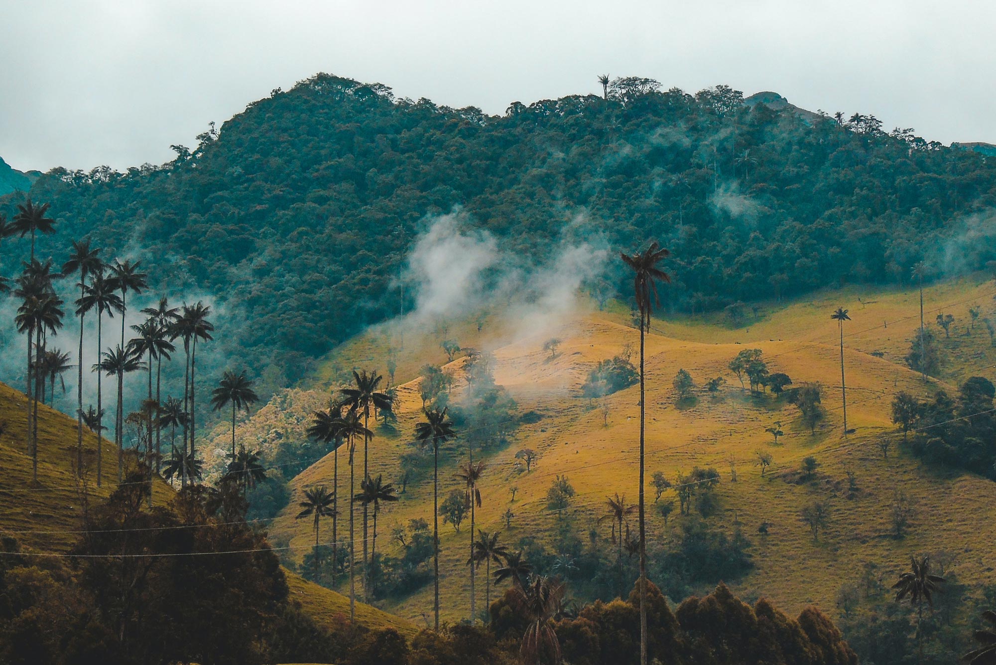 Contractor - Colombia